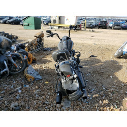 2021 HARLEY-DAVIDSON FL