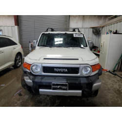 2010 TOYOTA FJ CRUISER