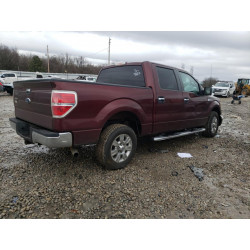 2010 FORD F-150