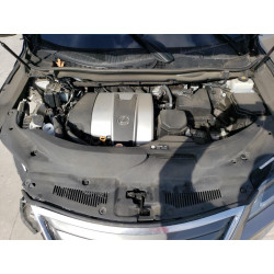2019 LEXUS RX350