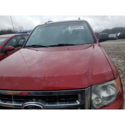 2010 FORD ESCAPE