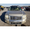2010 FORD ESCAPE