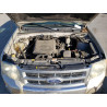 2010 FORD ESCAPE