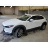 2022 MAZDA CX30