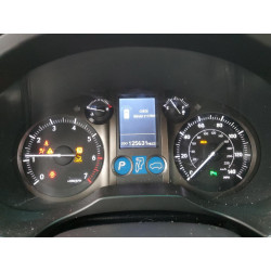 2010 LEXUS GX