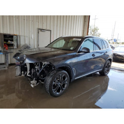 2019 BMW X5 5UXCR6C56KLL36314 51695913