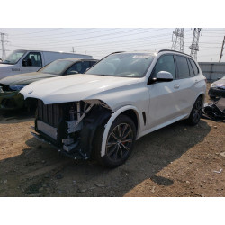 2023 BMW X5 5UXCR6C03P9R54702 53022933