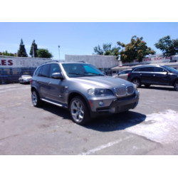 2009 BMW X5 5UXFE83539L310266 56197893