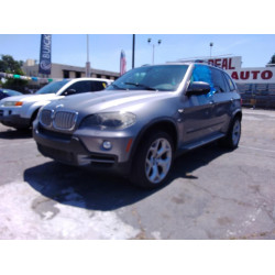 2009 BMW X5 5UXFE83539L310266 56197893