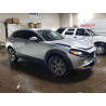 2021 MAZDA CX30 3MVDMBDL6MM305168 72669752