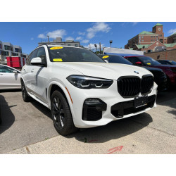 2020 BMW X5 5UXCR6C01L9C01991 53073983