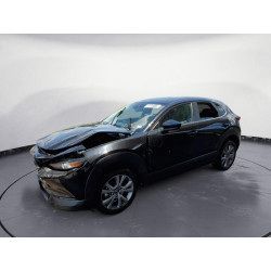 2021 MAZDA CX30 3MVDMABL3MM244133 55872113