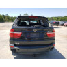 2009 BMW X5 5UXFE83549L169191 49024583