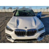 2023 BMW X5 5UXCR6C06P9N43696 38349363