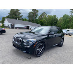 2019 BMW X5 5UXCR6C52KLK85037 56095943