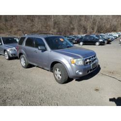 2008 FORD ESCAPE