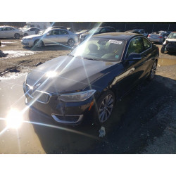 2014 BMW 2 SERIES