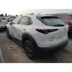 2020 MAZDA CX30 3MVDMBBL1LM133066 54039433