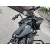 2021 HARLEY-DAVIDSON FL