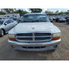 2004 DODGE DAKOTA