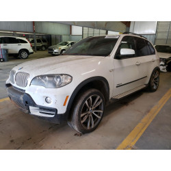 2010 BMW X5 5UXFE8C55AL311259 55685883