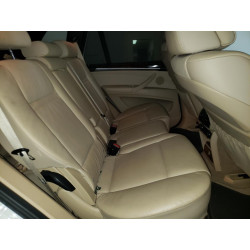 2010 BMW X5 5UXFE8C55AL311259 55685883