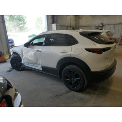 2020 MAZDA CX30 3MVDMBEM1LM102906 53623173