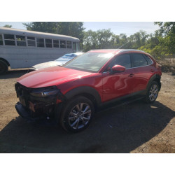 2022 MAZDA CX30 3MVDMBDL9NM405024 53316053