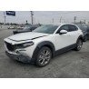 2020 MAZDA CX30 3MVDMAEM1LM110532 52232933