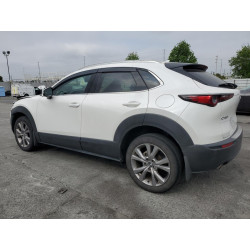 2020 MAZDA CX30 3MVDMAEM1LM110532 52232933