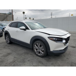 2020 MAZDA CX30 3MVDMAEM1LM110532 52232933