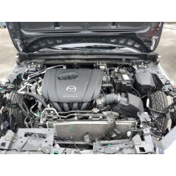 2021 MAZDA CX30 3MVDMABL7MM244068 56101823