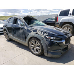 2020 MAZDA CX30 3MVDMBDL6LM129849 49799113