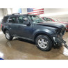 2009 FORD ESCAPE