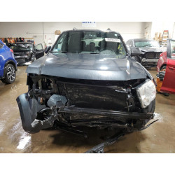 2009 FORD ESCAPE