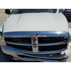 2006 DODGE All Models 3D7KS29C96G202017 59796453