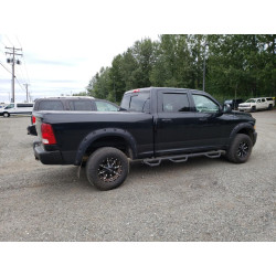 2012 DODGE RAM 2500 3C6TD5DT5CG134917 60436913
