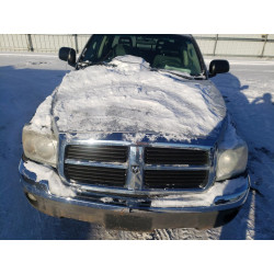 2005 DODGE DAKOTA