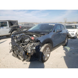 2021 MAZDA CX30 3MVDMBDL3MM270797 66010642