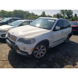 2009 BMW X5 5UXFE83509L308927 58317493