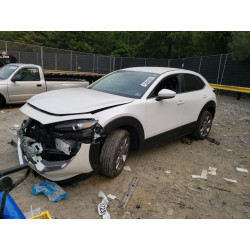 2020 MAZDA CX30 3MVDMBCL2LM129364 54954823