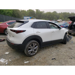2020 MAZDA CX30 3MVDMBCL2LM129364 54954823