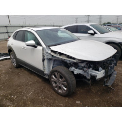 2021 MAZDA CX30 3MVDMBCL9MM205437 51161503