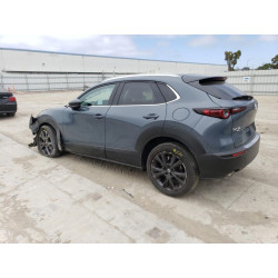 2023 MAZDA CX30 3MVDMBCM0PM520950 53134033