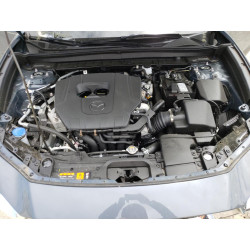 2023 MAZDA CX30 3MVDMBCM0PM520950 53134033