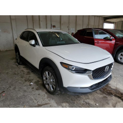 2023 MAZDA CX30 3MVDMBCM6PM508446 58678793