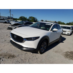2020 MAZDA CX30 3MVDMAEMXLM112599 50528743