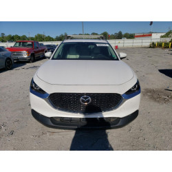 2020 MAZDA CX30 3MVDMAEMXLM112599 50528743