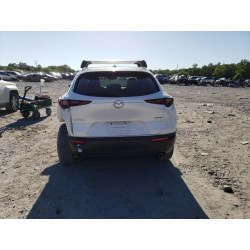 2020 MAZDA CX30 3MVDMAEMXLM112599 50528743