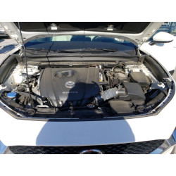 2020 MAZDA CX30 3MVDMAEMXLM112599 50528743